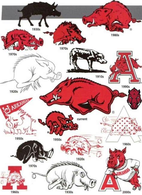 The Curse on the Hogs: Exploring the Possibility of a Psychological Explanation